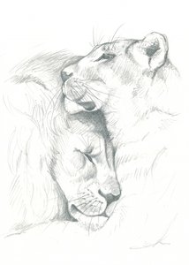 Leijonan seesteisyys