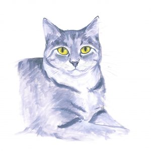 Tarkkaavainen kissa