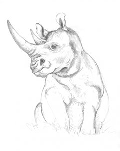 Sarvikuono