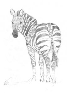 Seepra