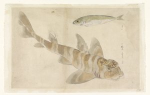 Kaksi kalaa: gurnard (?) ja silli tekijältä Ishikawa Kazan