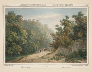 Pohjois-Amerikka - New Jerseyn osavaltio. Nro 49, pl. 1