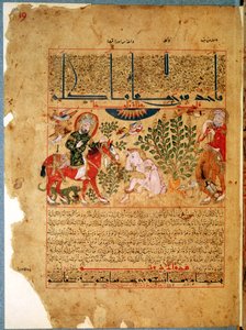 Ms. Arabe 2964 fol.19 Tohtori Anoromachus paransi veljeään käärmeen puremana, Theriakin traktaatista Galienin jälkeen, 1217 tekijältä Islamic School