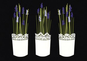 Laventeliruukut, 2014 (paperi) tekijältä Isobel Barber