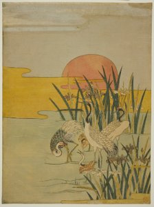 Nosturit Iris-lammikkossa auringonnousun aikaan tekijältä Isoda Koryusai
