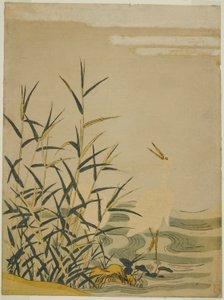 Egrets in Reeds tekijältä Isoda Koryusai
