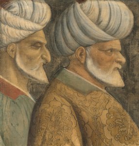 Sinan Reis ja Hayreddin Barbarossa