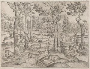 Hirvi metsässä tekijältä Italian 16th Century