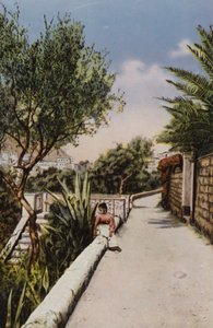 Capri: Via Tragara (värilitra) tekijältä Italian Photographer