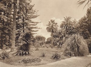 Sisilia / Sisilia: Villa Tasca, Palermo (s/w-kuva) tekijältä Italian Photographer