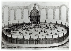 Kani lintutarhalla pienille linnuille, Le Fabbriche e i Giardini dellEcc. Casa Barbariga, D. Rossetti, kaiverrus G. Campana, julkaistu 1702 tekijältä Italian School