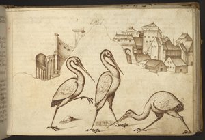 Lisätä. 82955, f.107   Ibises (