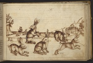 Lisätä. 82955, f.165 Kanit (