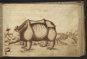 Lisätä. 82955, f.172 Rhinocerous., Historia Animaliumista tekijältä Italian School