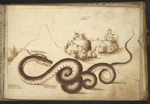 Lisätä. 82955, f.242 Käärme (