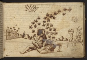 Lisätä. 82955, f.60   Mehiläiset ("apinat").  , Historia Animaliumilta, (koostuu 245 kynällä ja musteella tehdystä piirroksesta eri eläinlajeista ja myyttisistä olennoista, joista jokaiseen on liitetty kuvaus.)    1595 tekijältä Italian School