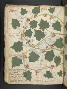 Lisää MS 41623 f.53v 