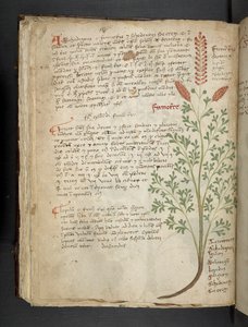 Lisää MS 41623 f.65v 