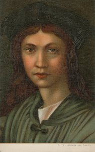 Andrea del Sarto, italialainen taidemaalari (kromoliitti) tekijältä Italian School