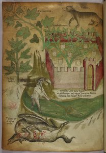 Kasvitieteellinen ja eläinkuvitus, jossa on kasveja, muuripuutarha, susi, mies kalastamassa purossa verkon kanssa ja korppikotka nokkimassa eläimen raatoa, n. 1440 (tussi ja väri pergamentille). tekijältä Italian School