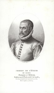 Carolus Clusius tekijältä Italian School
