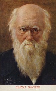 Charles Darwin (1809-1882), englantilainen luonnontieteilijä (väriliitoskuva) tekijältä Italian School