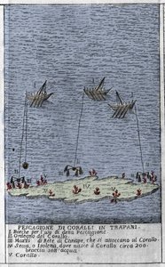 Korallin kalastus Sisilian Trapaninlahdella, joka edustaa pieniä vedenalaisia saaria, joille muodostuu korallitynnyreitä. Kaiverrus "" Stato Presente della Sicilia" - kirjoittaja Arcangelo Leanti, Palermo 1761 tekijältä Italian School