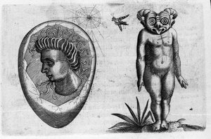 Eri tyyppisiä ihmishirviöitä: fossiilimies ja hirviö. Italian tiedemiehen Fortunio Whilein (1577-1656) kaiverrus "Hirviöiden luonne, niiden syyt ja erot". 1646 tekijältä Italian School