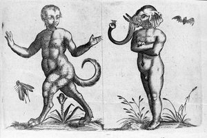 Erilaisia ​​ihmishirviöitä: toisella eläimen jalat ja toisella norsun pää. Italian tiedemiehen Fortunio Whilein (1577-1656) kaiverrus "Hirviöiden luonne, niiden syyt ja erot". 1646 tekijältä Italian School
