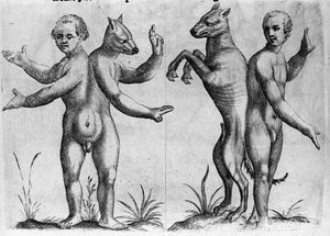 Erityyppisiä ihmishirviöitä: kaksi kaksoisvartaloa, puoliksi mies ja koira (siamilainen). Italian tiedemiehen Fortunio Whilein (1577-1656) kaiverrus "Hirviöiden luonne, niiden syyt ja erot". 1646 tekijältä Italian School