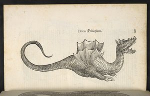 Etiopian lohikäärme, "Käärme ja lohikäärme historian kirja kaksi", Bologna, Ulisse Aldrovandi tekijältä Italian School