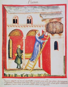 Fol.85v Etikka, kuva Tacuinum Santiatis Codex Vindobonensis tekijältä Italian School