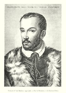 Francois II de Medicis tekijältä Italian School