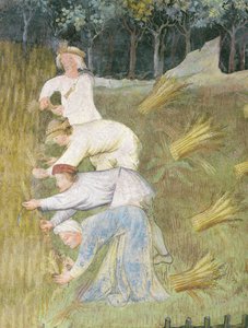 Vehnän sadonkorjuu, yksityiskohta (fresco) tekijältä Italian School