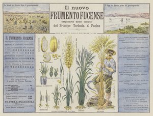 Uusi Fucense vehnä (väri litho) tekijältä Italian School