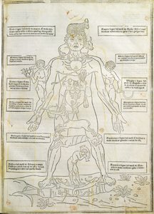 Kuvitus "Fassiculus Medicinae" Venetsiasta tekijältä Italian School