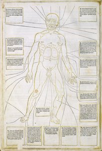 Kuvitus "Fassiculus Medicinae" Venetsiasta tekijältä Italian School