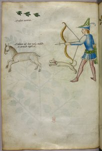 Kuvitus jousella eläintä ampuvasta miehestä, jonka yläpuolella on koira ja lintuja, noin 1440 (tussi ja väri pergamentille). tekijältä Italian School