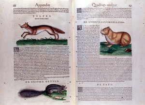 Kuvituksia Conrad Gesnerin Historia Animaliumista tekijältä Italian School