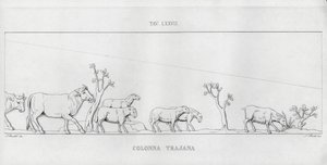 La Colonna Trajana, Trajanuksen pylväs (kaiverrus) tekijältä Italian School