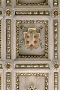 Escut dels Medici, de l