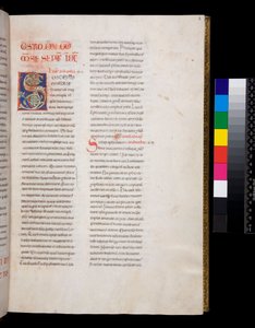 Ms 143. Gregorius Suuri, Registrum Epistolarum, f.8r. Koristeltu nimikirjain [S] valkoisella viiniköynnöksellä ja loppupäällä tekijältä Italian School