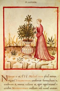 Ms 3054 fol.14v juottomeirami, 