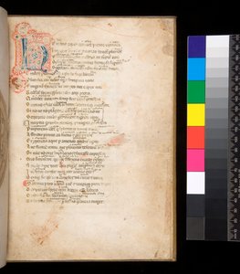 Ms 315. Horace, Ars Poetica ja Epistulae, f.1r. Koristeltu alkukirjain [N] sinisellä ja punaisella vaippatäytteellä ja ympäröivä kynätyö punaisella tekijältä Italian School