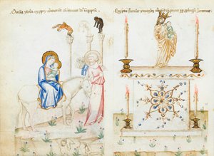 Ms 43-1950 fol.3v Lento Egyptiin, Speculum Humanae Salvationis tekijältä Italian School