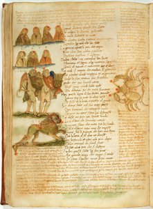 Ms Ital 483 P.4.7 f.156v Kaksoset, leijona ja syöpä, Fazio degli Ubertin (vellum) Dittamondosta tekijältä Italian School