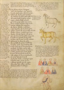 Ms Italien 87 fol.171 Sivu, joka havainnollistaa astrologisia merkkejä, teoksesta "De Civitate Dei, San Agostino" (vellum) tekijältä Italian School