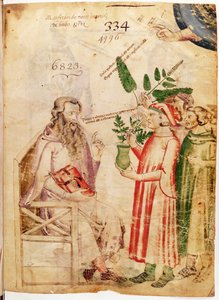 Ms Lat 6823 fol.1 Miehet esittelevät kasveja tuntemattomalle miehelle, Manfredus de Monte Imperialin teoksesta De Herbis tekijältä Italian School