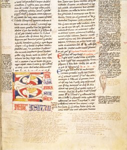 Ms. McClean 135, f.96r: yksityiskohta kasvimuodon historiallisesta alkukirjaimesta C Gratians Decretum, 1100-luvun lopulla tekijältä Italian School
