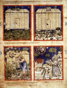 Nooan arkki, miniatyyri otettu koodista 212 (tai Padovano-koodi tai Padovan Raamattu) 1390-1400 Rovigo, Accademia dei Concordi tekijältä Italian School